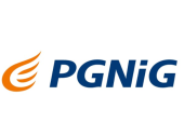 logos_pgnig